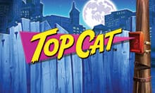 Top Cat