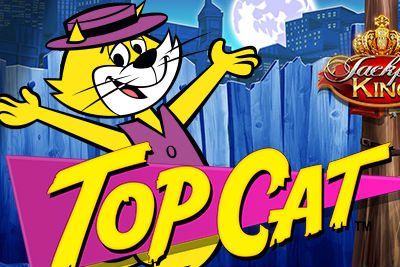 Top Cat Slots Game