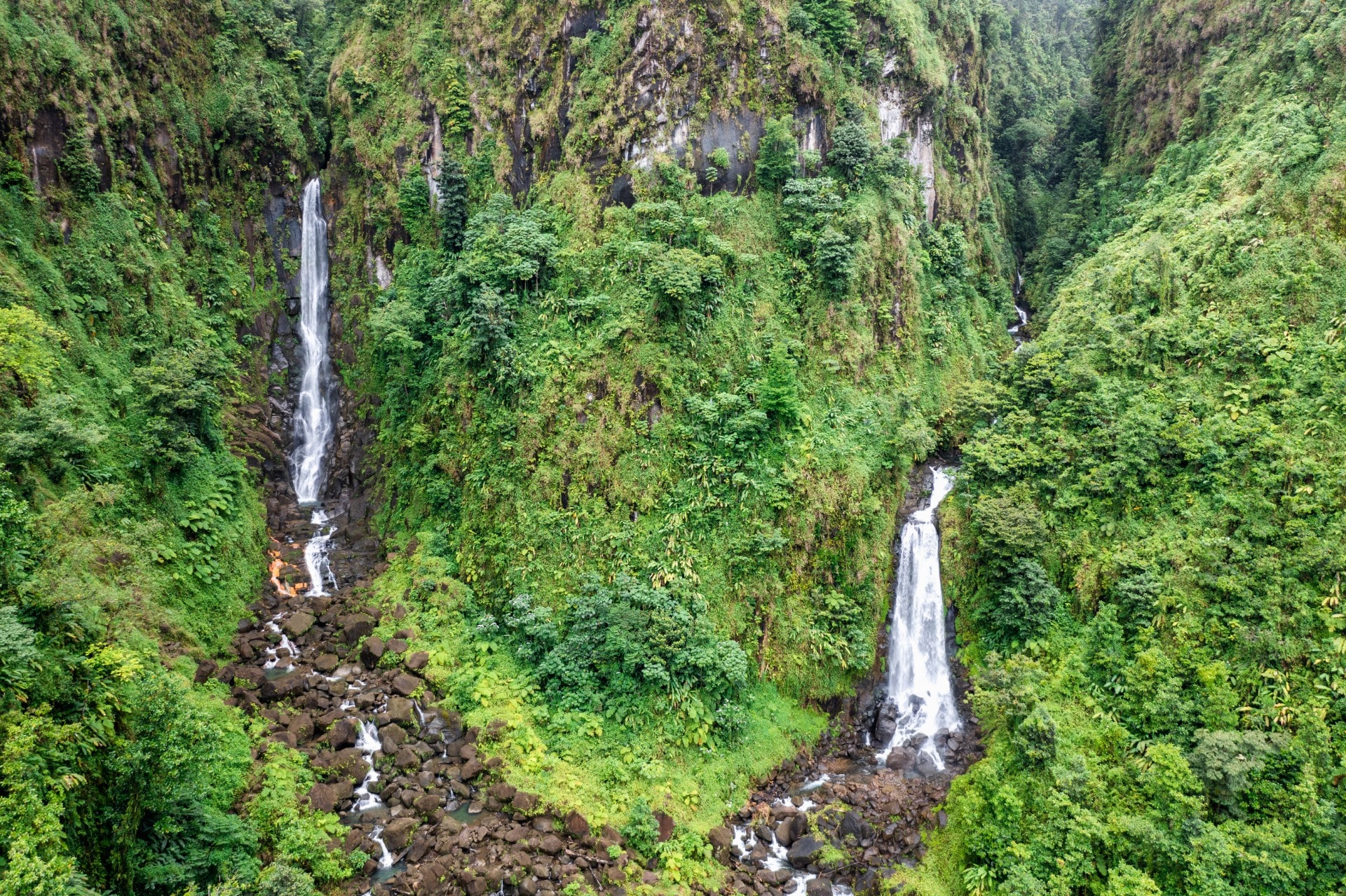 Dominica