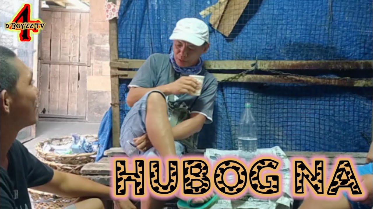 Hubog 2024.com